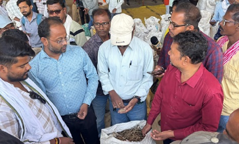 CG : धमतरी की वनोपज मंडी में औषधीय उत्पादों के कारोबार को मिल रहा विस्तार …