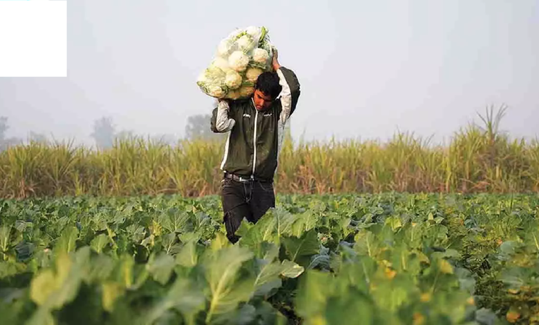 CG : छत्तीसगढ़ के किसानों को मिलेंगे 15 हजार रुपये प्रति एकड़! 31 अक्टूबर तक कराएं पंजीयन; जानें किसे मिलेगा लाभ और कैसे करें आवेदन …