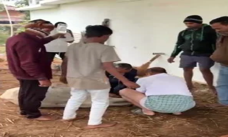 CG : एक साथ 3 गायों की मौत से गांव में हड़कंप, 40 पशु बीमार; इलाज में देरी का आरोप …