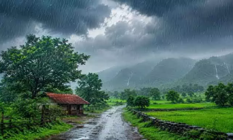 CG : महासमुंद में बारिश ने दिखाया जोर, 1285 मिमी पहुंचा आंकड़ा …