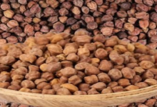 रोज खाएं उबले काले चने… मिलेंगे जबरदस्त फायदे …